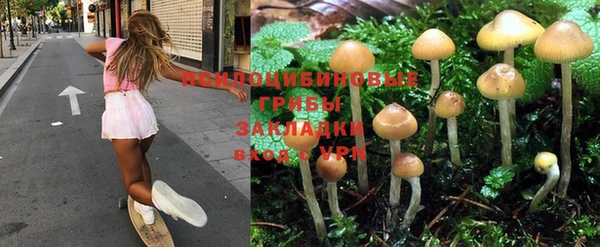 прущая мука Нефтегорск