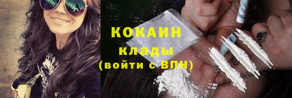 шишки Белоозёрский